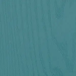 caribbean blue door
