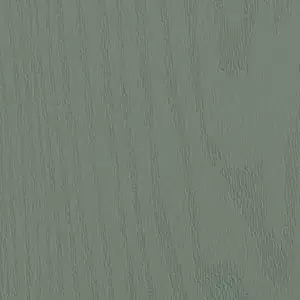 sage green door